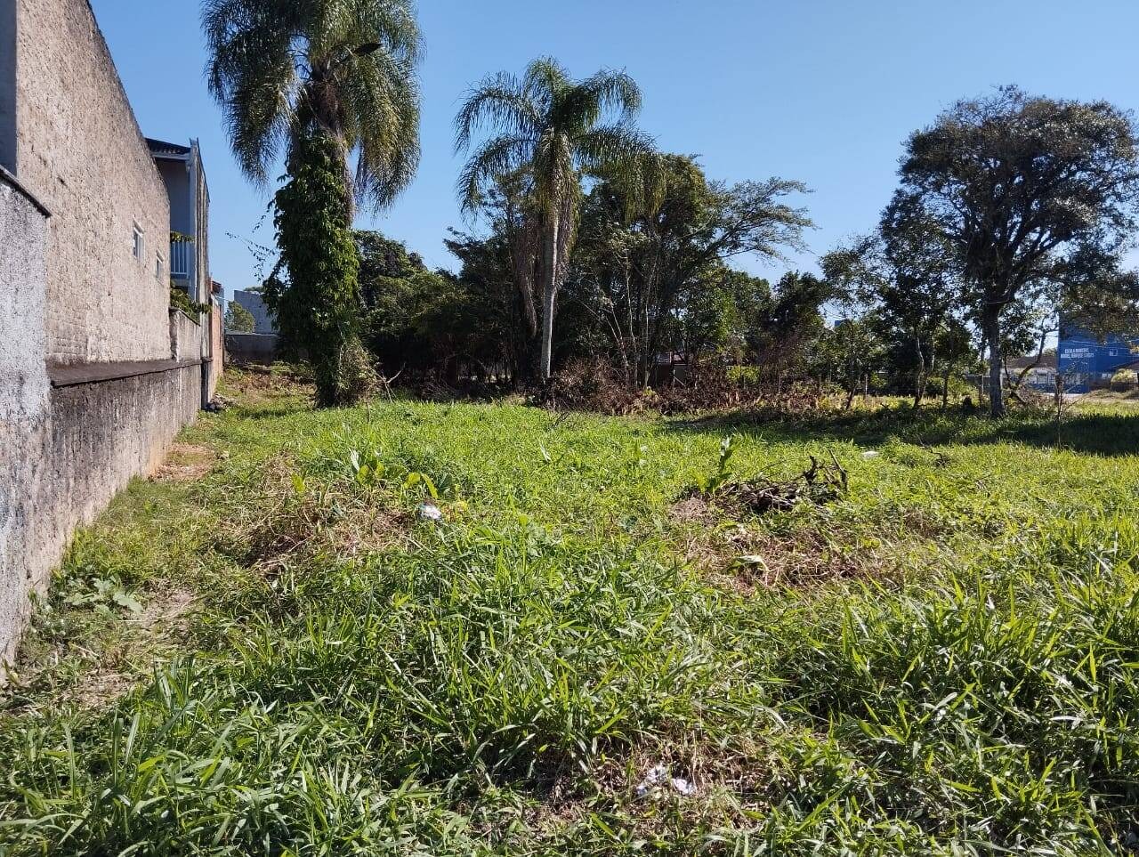 Terreno no Bairro Centro -1750m² - Balneário Barra do Sul - SC