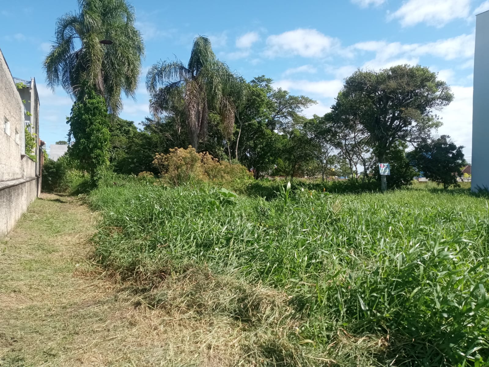 Terreno no Bairro Centro -1750m² - Balneário Barra do Sul - SC